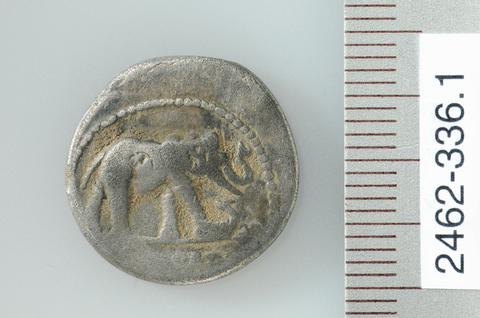 A silver coin minted during the reign of Julius Caesar was discovered at the site. It depicts an elephant trampling a snake or dragon, officials said.
