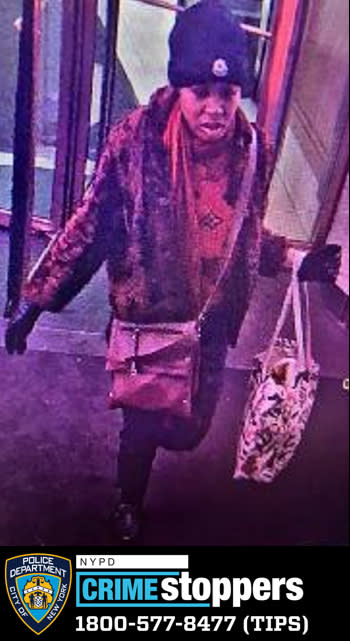 Hunter was captured by the NYPD Wednesday evening, 15 days after she allegedly attacked Iain S. Forrest, 29, while he was performing “Titanium” by Sia in the station. DCPI