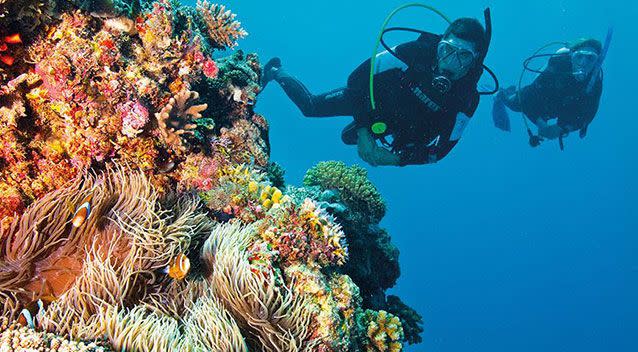 Last year swathes of coral to the north of the reef succumbed to devastating bleaching, due to warming sea temperatures.