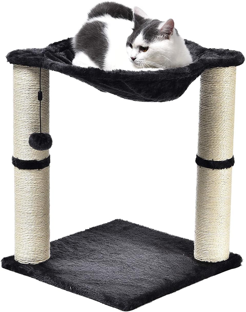 AmazonBasics Cat Scratching Post and Hammock