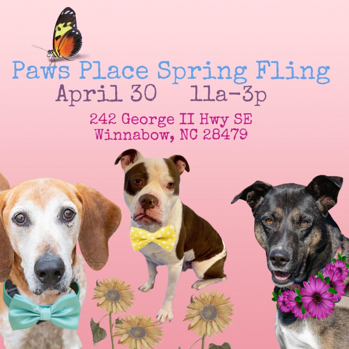 want-to-adopt-a-dog-paws-place-dog-rescue-to-hold-its-spring-fling