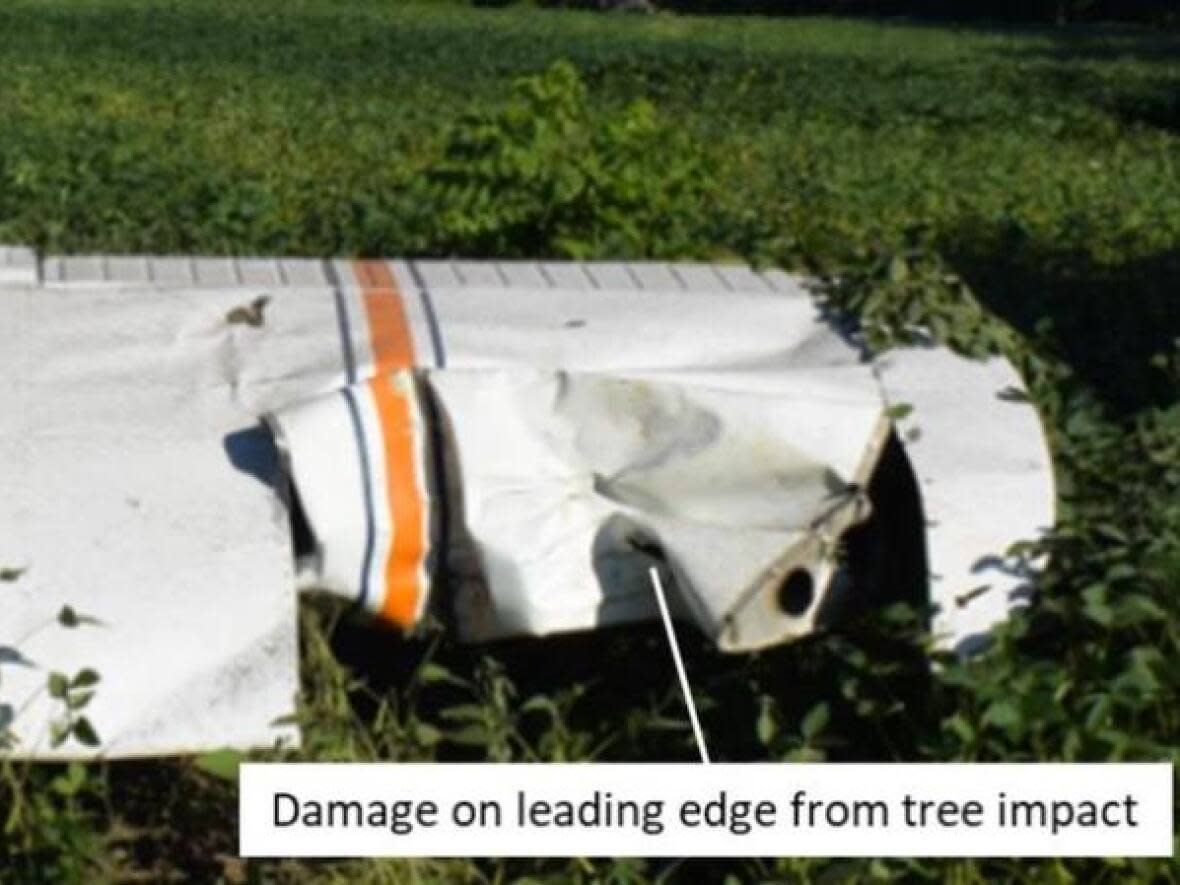 This is the left wing of the plane that first hit a tree near Port Hope, Ont., Aug. 13, 2022. Two people from Ottawa were killed. (Transportation Safety Board of Canada - image credit)