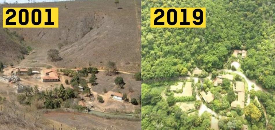 Resultado de un proyecto de reforestación en Minas Gerais, Brasil en el que se plantaron 2,7 millones de árboles durante 20 años. (Crédito imagen: Sebastião Salgado).