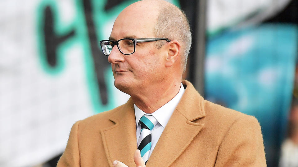 Port Adelaide chairman David Koch is pictured at a 2019 AFL match.