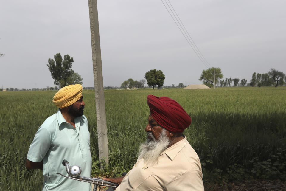 Indian farmers Kartar Singh, 62, left, and mahinder Singh, 72, inspect their crop in Moga district of Indian state of Punjab, Saturday, March 13, 2021. The residents of Ransih Kalan village, have begun taking steps to conserve water. Villagers have installed a sewage treatment plant, and the treated water is then used for irrigation. They've also set up plants to harvest rainwater, which is then diverted into a man-made lake. (AP Photo/Manish Swarup)