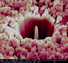 Isolation of a sub-micron pre-solar grain, photo by Zia Rahman<br>Via <a href="http://www.flickr.com/photos/fei_company/7983930380/in/set-72157631162157384" rel="nofollow noopener" target="_blank" data-ylk="slk:Flickr;elm:context_link;itc:0;sec:content-canvas" class="link ">Flickr</a>