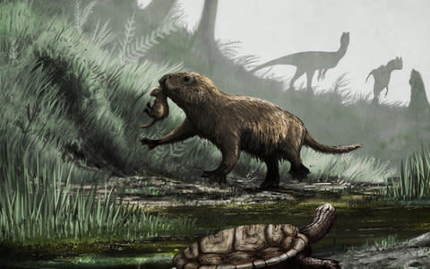 Dilophosaurus (dinosaur) at the back, Kayentatherium (Mesozoic mammal) in the center, and Kayentachelys (Mesozoic turtle) at the front - Credit: Mark Witton 