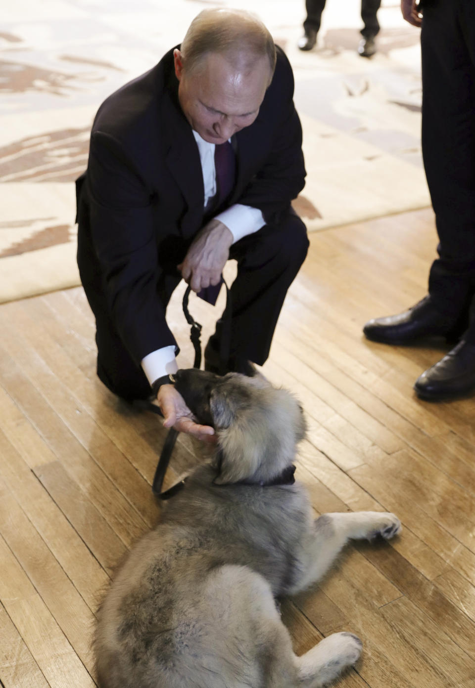 Russian President Vladimir Putin pets a puppy of the Sarplaninac breed presented to him by Serbian President Aleksandar Vucic during their meeting in Belgrade, Serbia, Thursday, Jan. 17, 2019. Putin arrives in Serbia on Thursday for his fourth visit to the Balkan country since 2001. (Mikhail Klimentyev, Sputnik, Kremlin Pool Photo via AP)