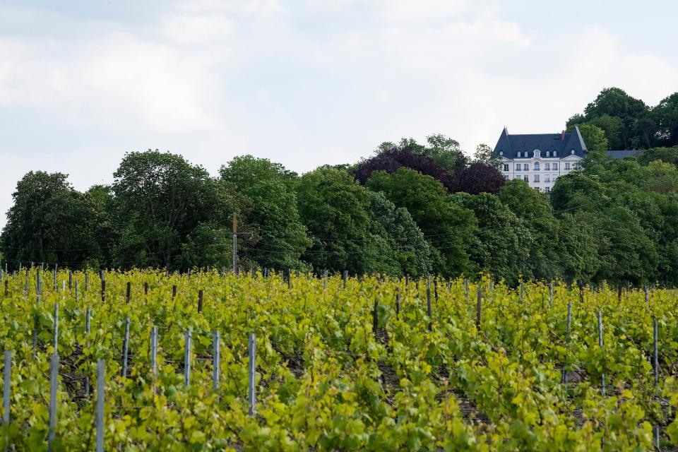 <h1 class="title">The grounds of the Château de Saran</h1><cite class="credit">Photo: Eric Mercier</cite>