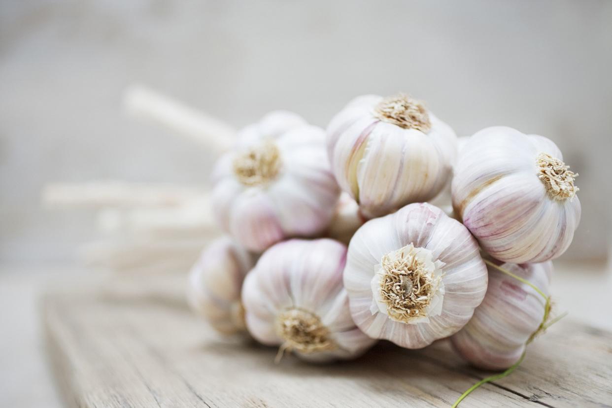 garlic