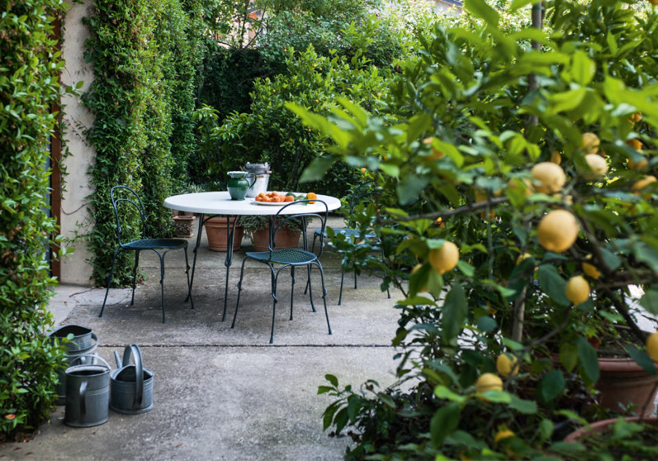 <p>La végétation permet d'<b>adoucir nos vies parfois bien trop urbaines</b>. Alors, pour une terrasse zen, n'ayez pas la main légère !</p><br>