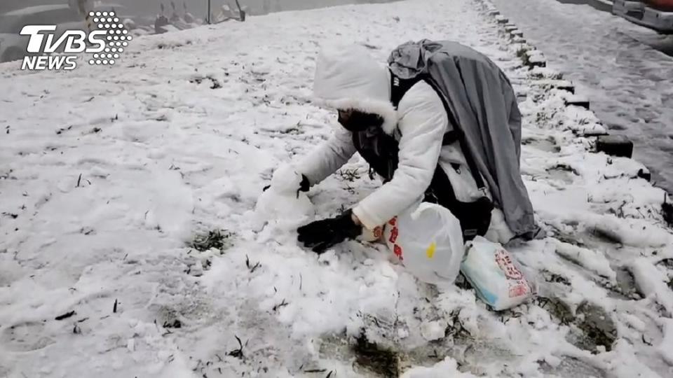 民眾紛紛搶看雪景。（圖／TVBS）