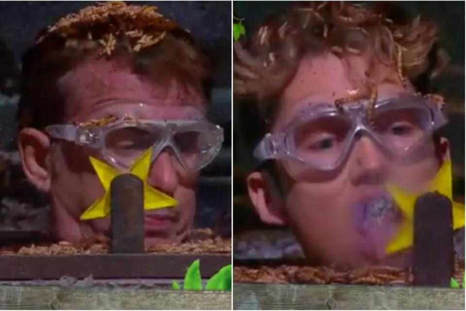 <p>Shane and AJ kept their cool during the stomach-churning challenge</p> (ITV/I’m a Celebrity... Get Me Out of Here!)