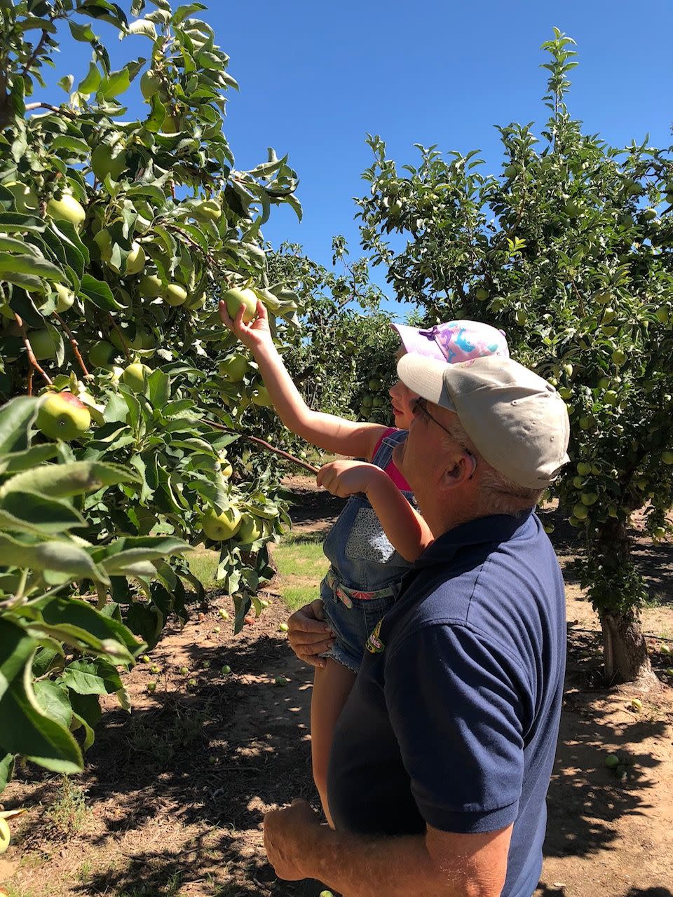 17) Apple Annie's Orchard in Wilcox, Arizona