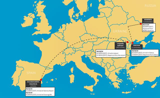 <p>Oceanografic de Valencia</p> A map of the beluga whales' journey from Ukraine to Spain