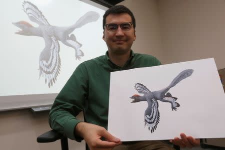 Dr. Michael Pittman from the University of Hong Kong's (HKU) Department of Earth Sciences poses with a copy of a life reconstruction of the bird-like feathered dinosaur Anchiornis, using the new body outline laser-stimulated fluorescence data, at the University of Hong Kong in Hong Kong, China March 1, 2017. REUTERS/Bobby Yip