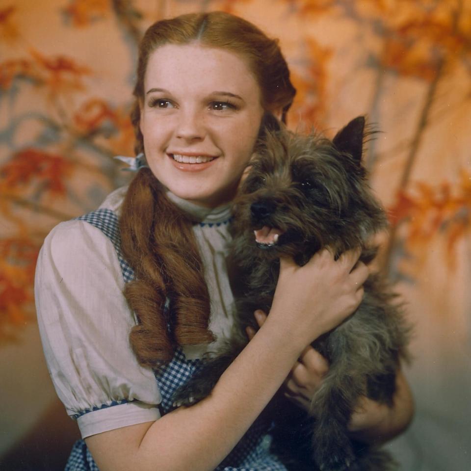 Judy Garland with Toto - rex