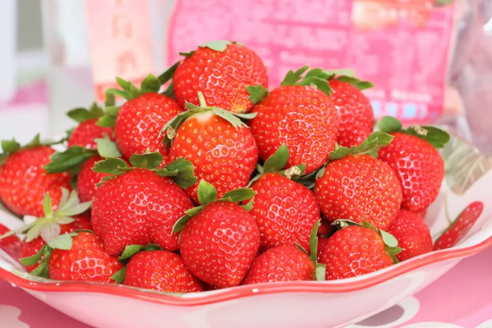 苗栗大湖草莓產量佔全國九成，今年草莓品質更勝往年。