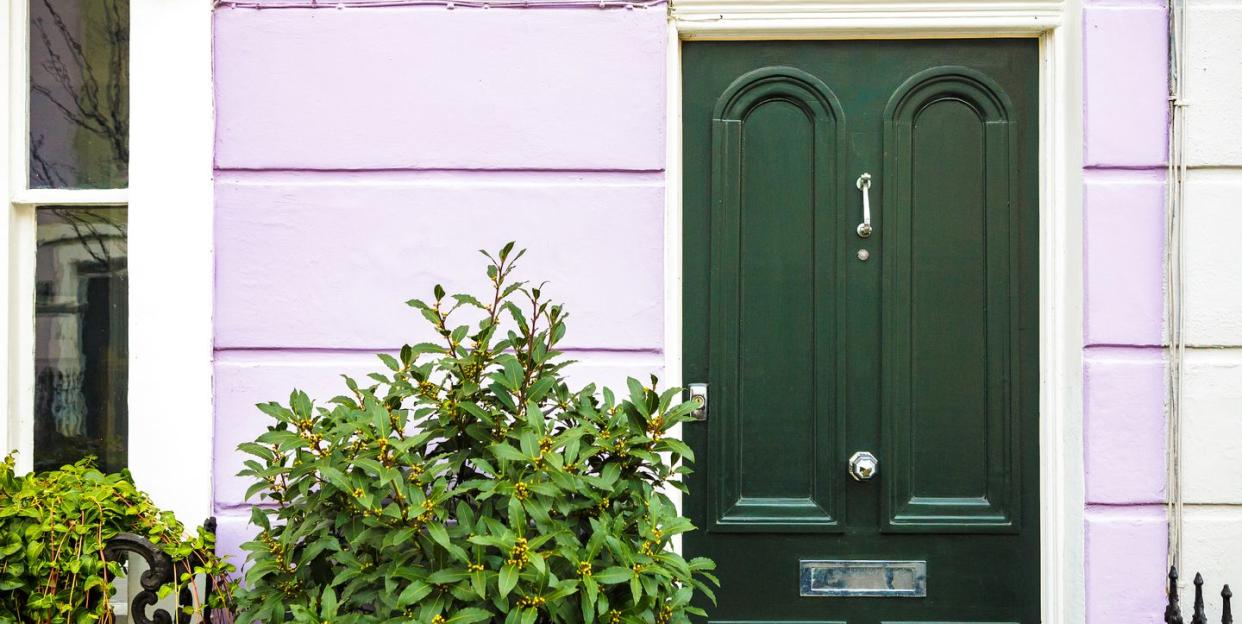 green front door with plant outside