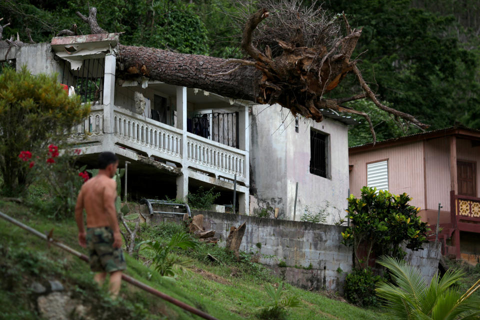 A man stands near a house with a fallen tree on its roof, after hurricane Maria hit the area in September, in Utuado, Puerto Rico November 9, 2017. Picture taken November 9, 2017. REUTERS/Alvin Baez