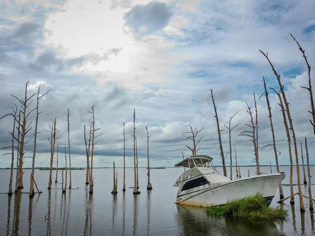 <p>An abandoned boat sits in the water amid dead cypress trees in coastal waters and marsh August 26, 2019 in Venice, Louisiana</p> (Getty Images)