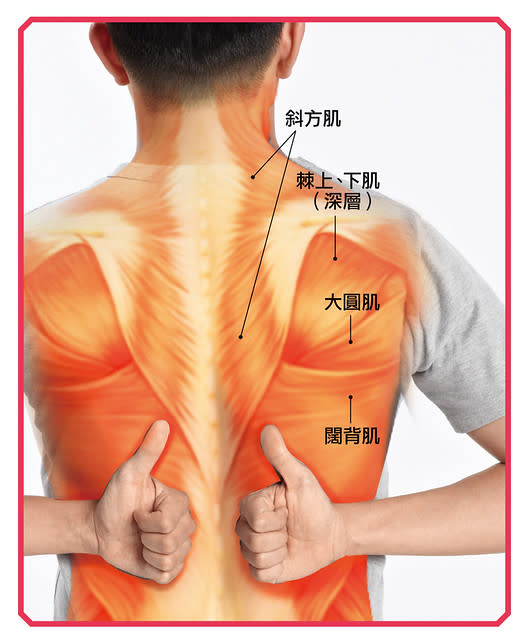 上背痠痛、肩胛肌發炎：按摩上背肌