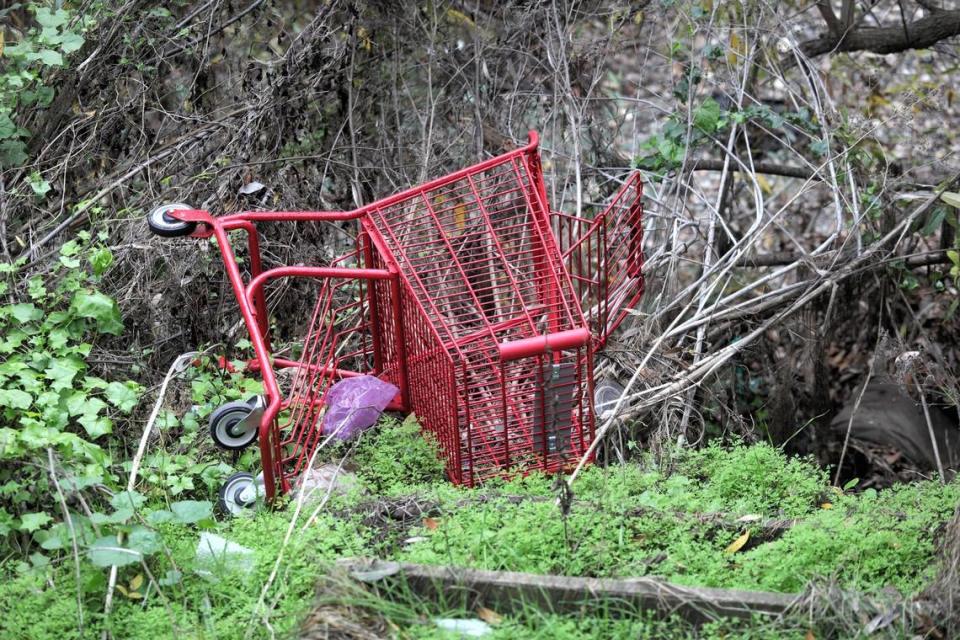 Several shopping carts had been dumped in San Luis Obispo Creek as the city cleared homeless camps along the trail ahead of a winter creek cleanup and fence construction project.