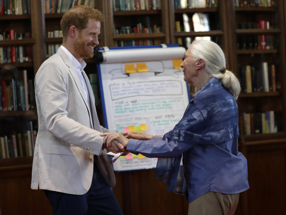 WINDSOR, ENGLAND - JULY 23: Prince Harry, Duke of Sussex attends Dr. Jane Goodall's Roots & Shoots Global Leadership Meeting at Windsor Castle on July 23, 2019 in Windsor, England. (Photo by Kirsty Wigglesworth - WPA Pool/Getty Images)