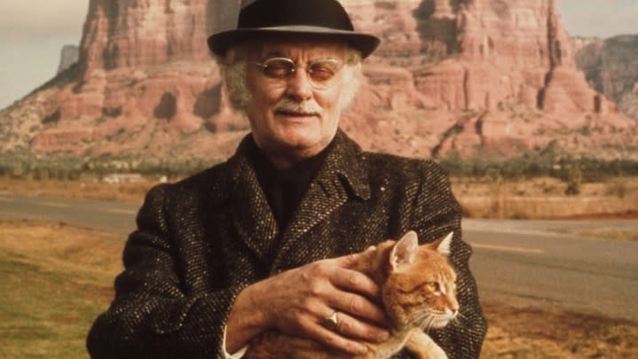 An old man holds a cat in Harry and Tonto.