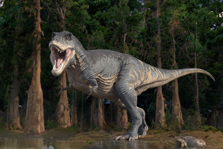 A digital rendering of a roaring T. rex standing in a dense, forested area. The dinosaur appears lifelike with detailed textures and an open mouth showing teeth