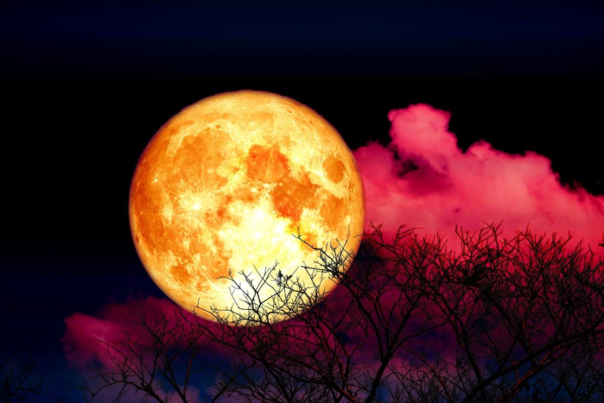 Here's Why the Full Moon in Capricorn is the Most Important Lunar Event