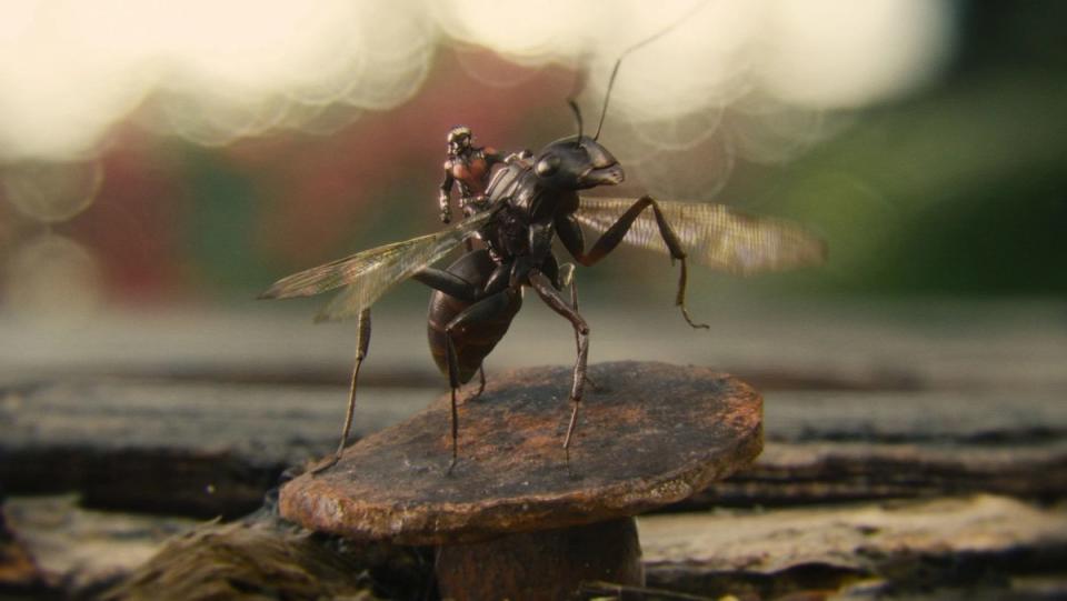 Ant-Man atop a flying ant named Ant-Thony