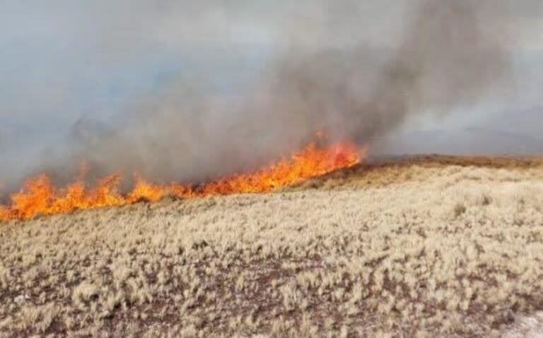 Hasta el momento, el fuego en el cerro Champaquí afectó a unas 350 hectáreas