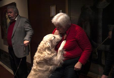 A woman interacts with a Golden Retriever at the American Kennel Club (AKC) in New York January 31, 2014. REUTERS/Eric Thayer