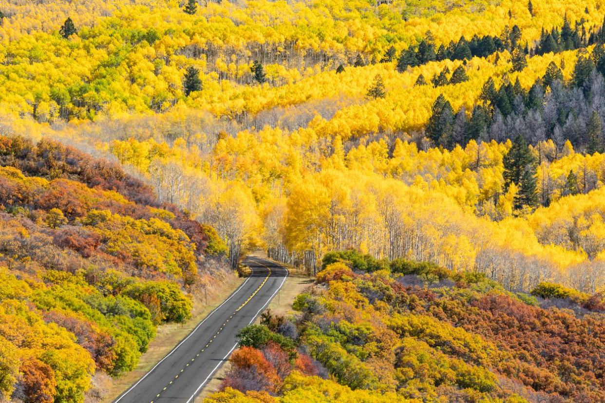 Colorado Route 92 