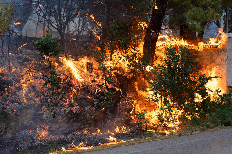 Greece wildfires