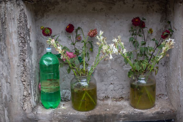 Recipientes con agua en el cementerio de Campo Santo, en el departamento de General Güemes