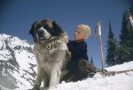 <p>A St. Bernard chills out with a little boy on the slopes of <strong>Sun Valley </strong><strong>ski resort</strong>, Ketchum, Idaho. </p>