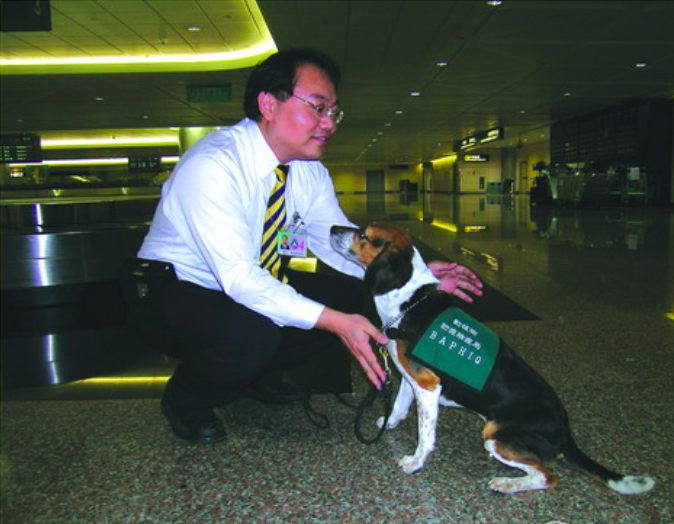 讓狗狗遵從領犬員的指令，培養默契需花費較長時間。 圖：行政院農委會動植物防疫檢疫局/提供