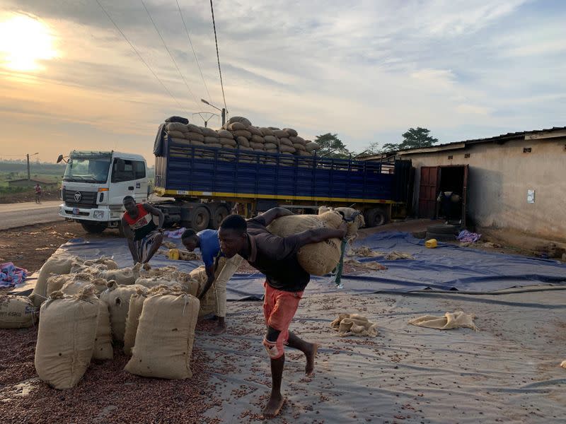 FILE PHOTO: A workers carries a cocoa bag to load it into a truck bound for the port of San Pedro, at a cocoa cooperative in Duekoue