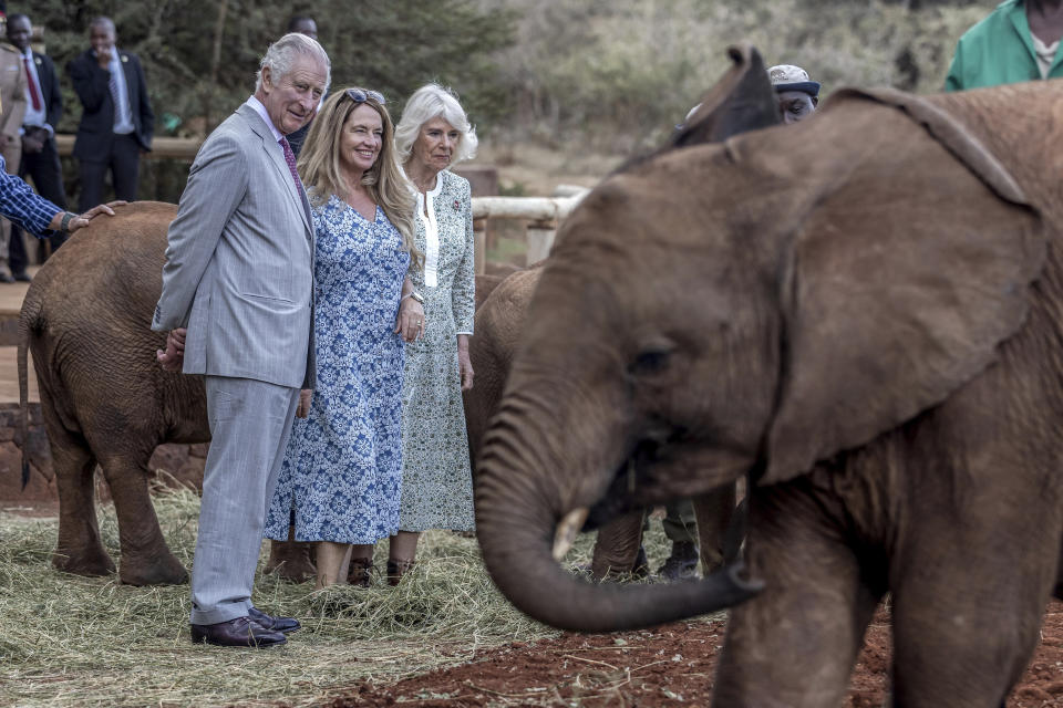From left, Britain's King Charles III, Sheldrick Wildlife Trust CEO Angela Sheldrick and Britain's Queen Camilla look at an elephant during a visit to the Sheldrick Elephant Orphanage, on the outskirts of Nairobi, Kenya, Wednesday, Nov. 1, 2023. (Luis Tato, Pool via AP)