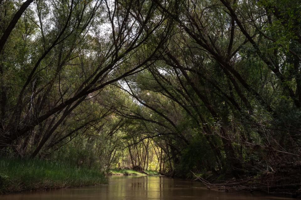 The Verde River, Oct. 3, 2022, near Camp Verde, Arizona.