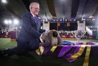 The 145th Westminster Kennel Club Dog Show at Lyndhurst Mansion in Tarrytown, New York