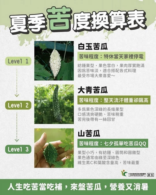 通常顏色偏深綠，苦味程度越重