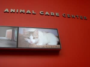 Animal Care Centre