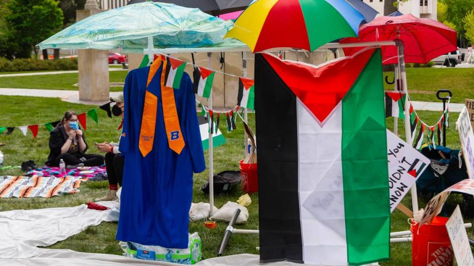 Supporters of Palestine hold a protest in downtown Boise.