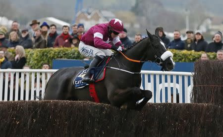 Horse Racing - Cheltenham Festival - Cheltenham Racecourse - 18/3/16 Bryan Cooper on Don Cossack on his way to winning the 3.30 Timico Cheltenham Gold Cup Chase Action Images via Reuters / Andrew Boyers Livepic