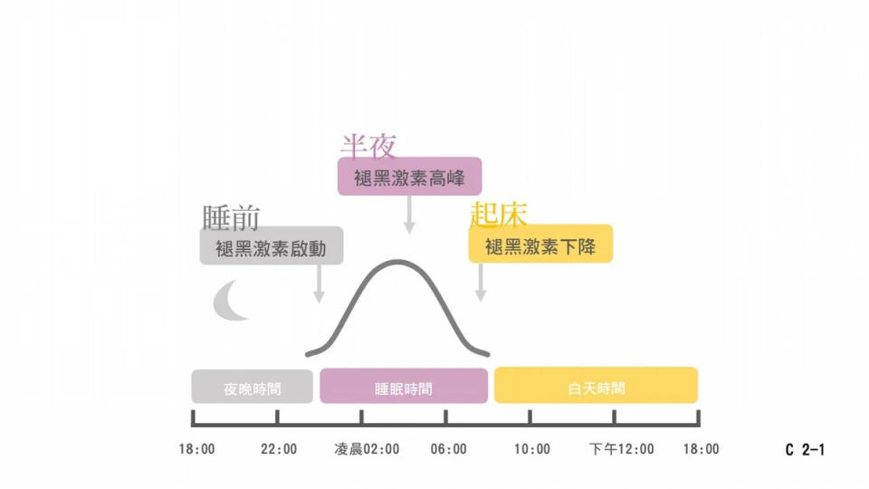 褪黑激素分泌有晝夜節律