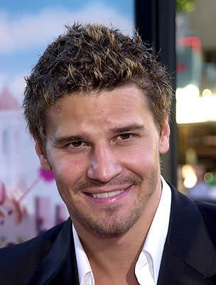 David Boreanaz at the Westwood premiere of MGM's Legally Blonde