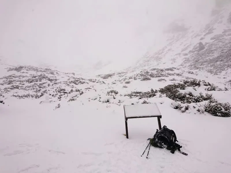 &#x0025b2;&#x0096ea;&#x009738;&#x007ba1;&#x007406;&#x008655;&#x004e5f;&#x00984c;&#x00578b;&#x006c11;&#x00773e;&#x004e0a;&#x005c71;&#x0052d9;&#x005fc5;&#x006ce8;&#x00610f;&#x005b89;&#x005168;&#x003002;&#x00ff08;&#x005716;&#x00ff0f;&#x007ffb;&#x00651d;&#x00756b;&#x009762;&#x00ff09;